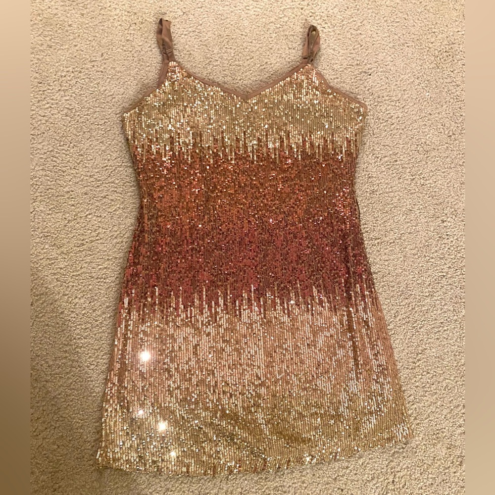 NWT Sequin Dress Boutique Ombre